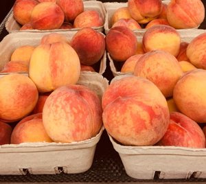 Fresh, ripe peaches stacked in cardboard trays at a farmer's market, showcasing their vibrant orange and red hues. Ideal for summer recipes and healthy snacking.