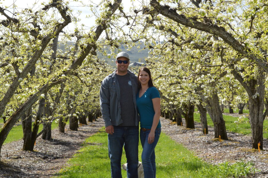 A couple standing together in a flowering orchard, surrounded by blooming trees and vibrant greenery, on a sunny day.